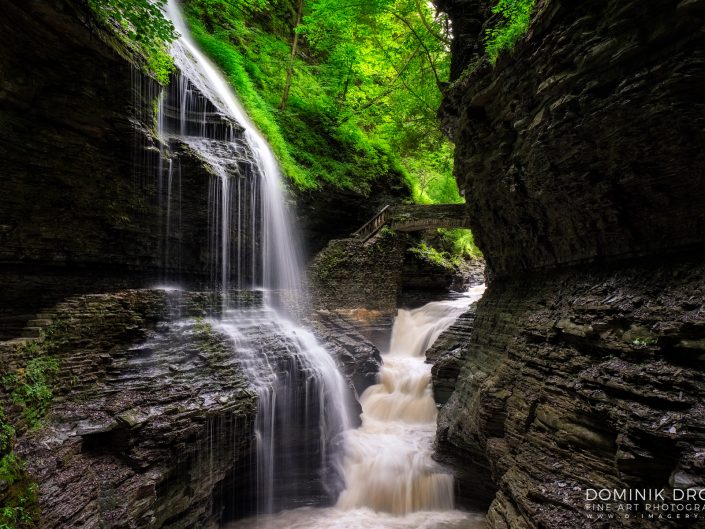 Watkins Glen